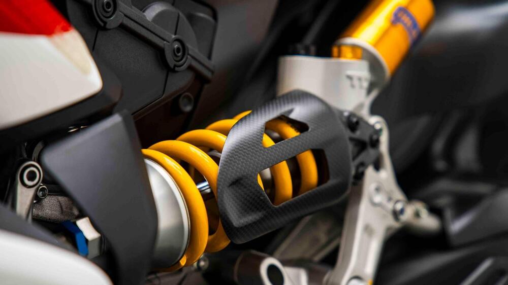 Ducati 1299 Panigale R Final Edition (2017 - 20) (15)