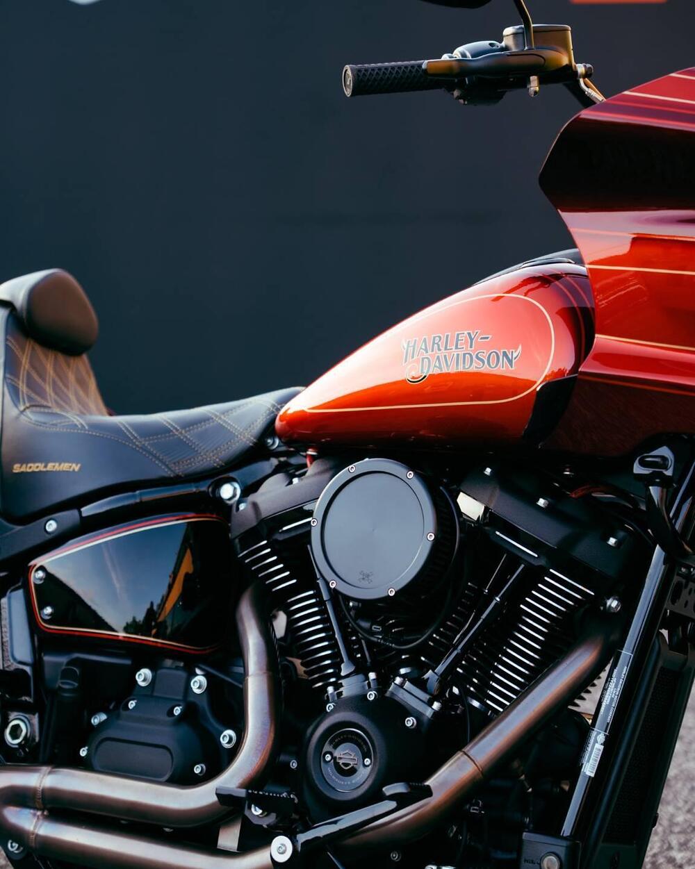 Harley-Davidson Low Rider ST (2022 - 24) (3)