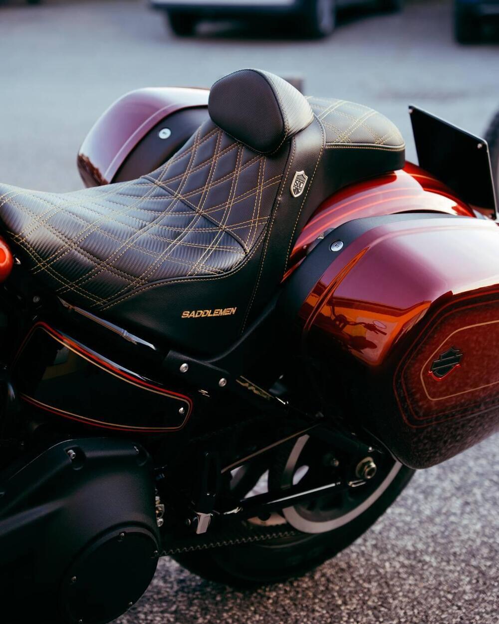 Harley-Davidson Low Rider ST (2022 - 24) (7)