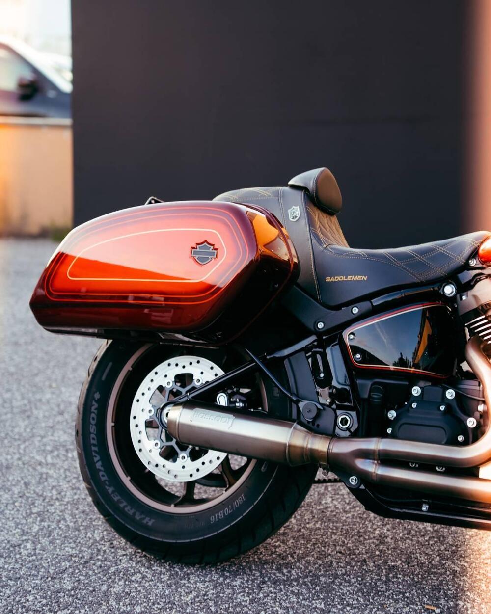 Harley-Davidson Low Rider ST (2022 - 24) (8)