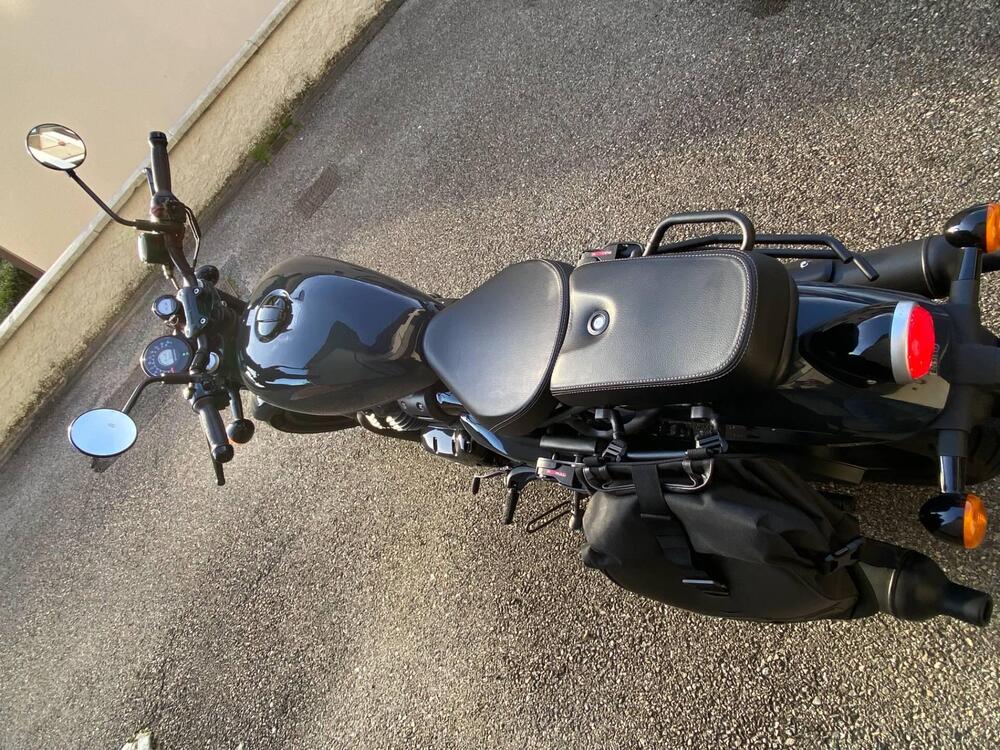 Royal Enfield Shotgun 650 (2024 - 26) (6)