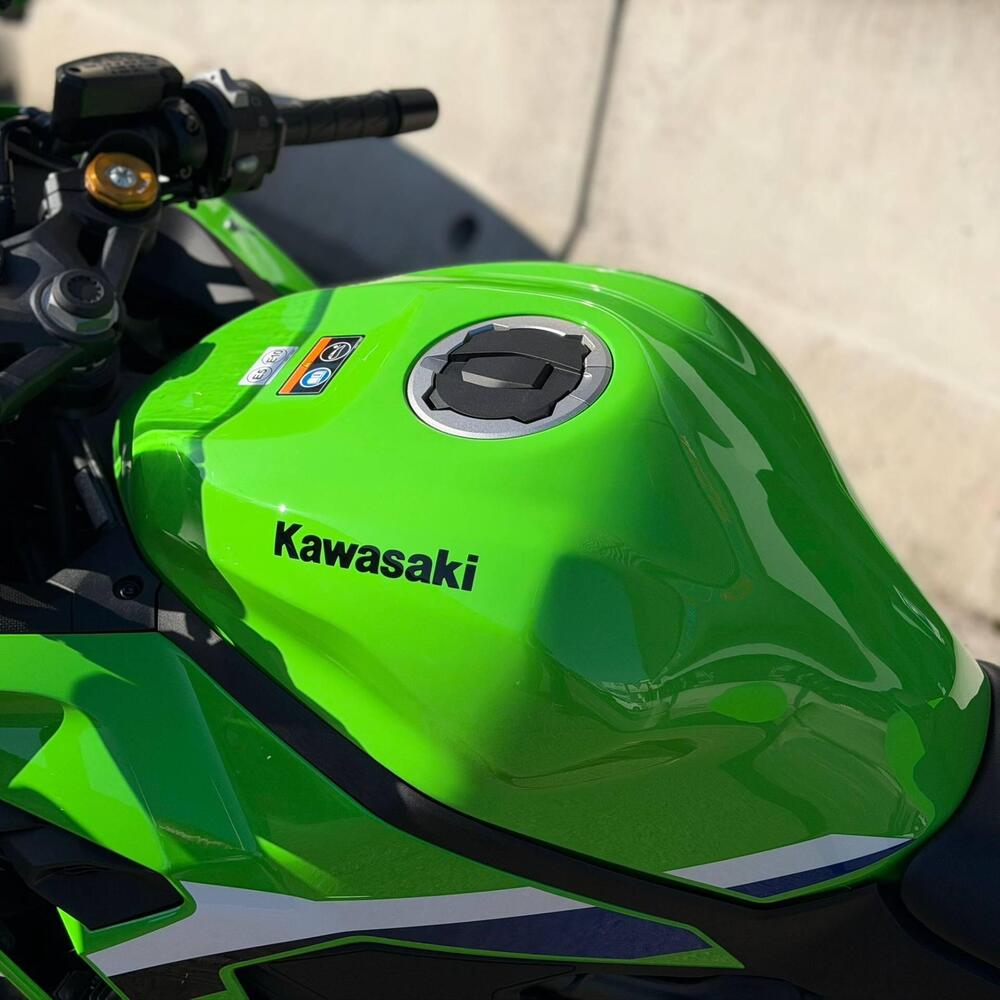 Kawasaki Ninja ZX-4RR (2024 - 26) (3)