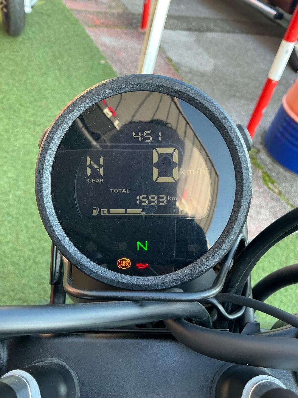 Honda CL500 (2023 - 24) (5)