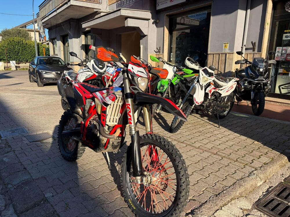 Betamotor RR 390 4T Enduro (2020) (2)