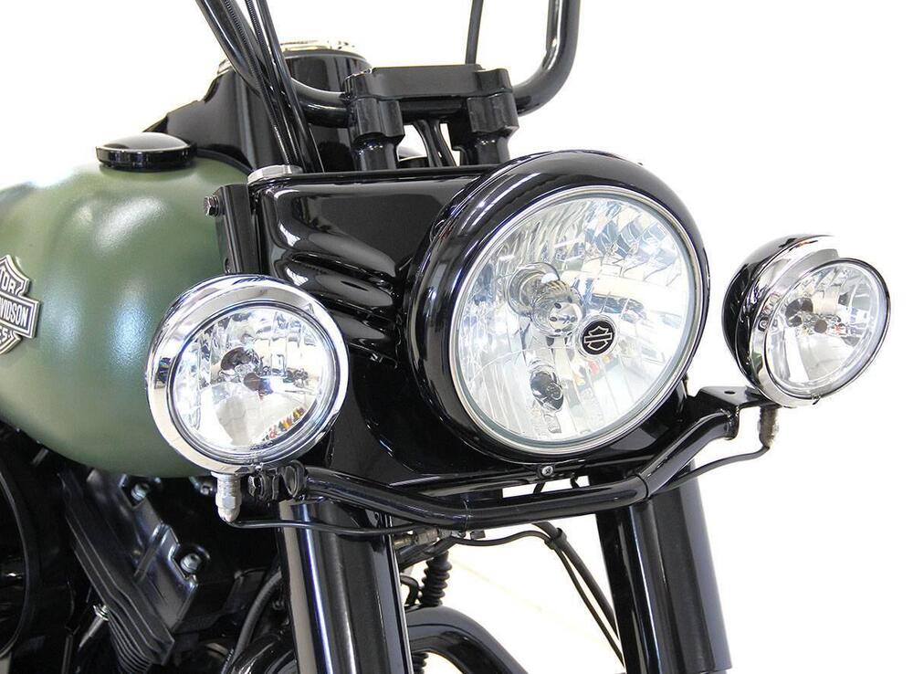 Harley-Davidson 1690 Slim (2011 - 16) - FLS (4)