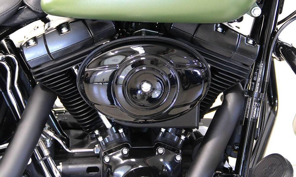 Harley-Davidson 1690 Slim (2011 - 16) - FLS (6)