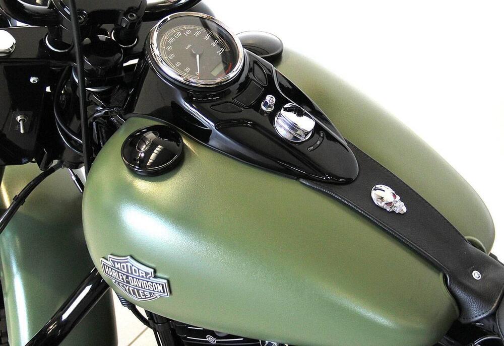 Harley-Davidson 1690 Slim (2011 - 16) - FLS (14)