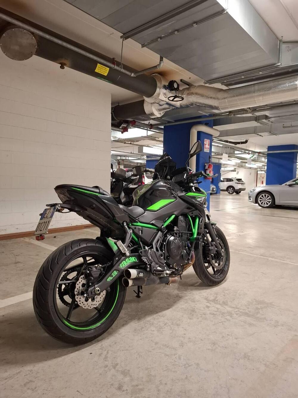 Kawasaki Z 650 (2021 - 24)