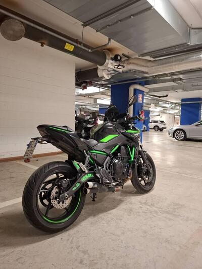 Kawasaki Z 650 (2021 - 24) usata