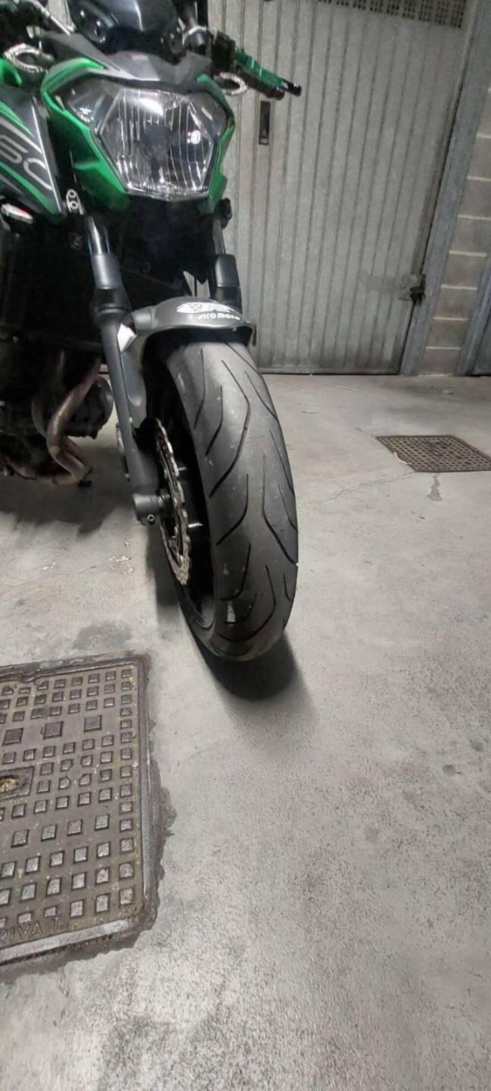 Kawasaki Z 650 Performance (2019 - 20)