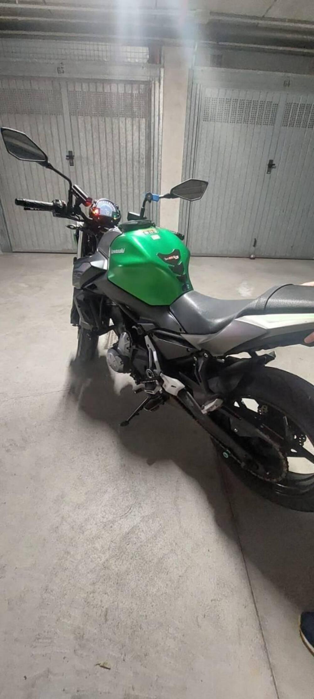 Kawasaki Z 650 Performance (2019 - 20) (3)