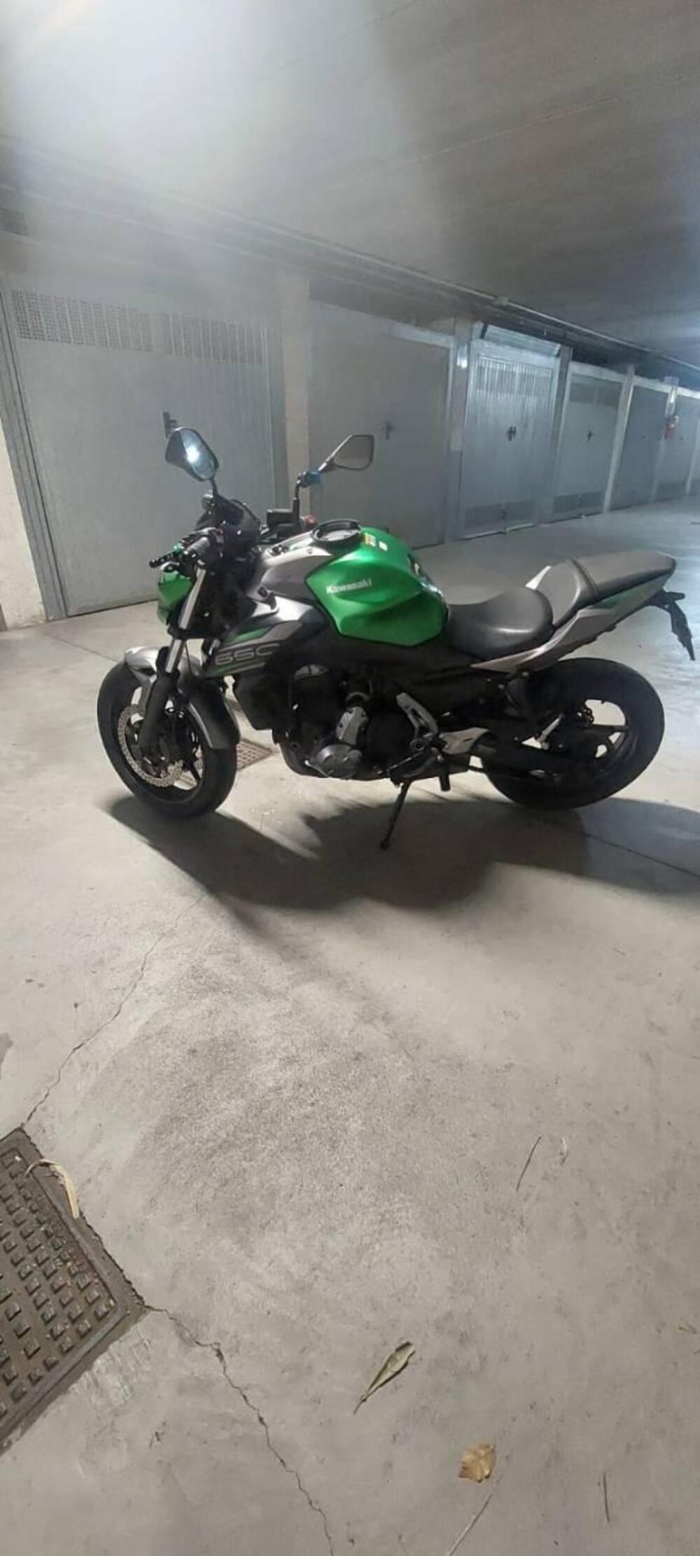 Kawasaki Z 650 Performance (2019 - 20) (5)