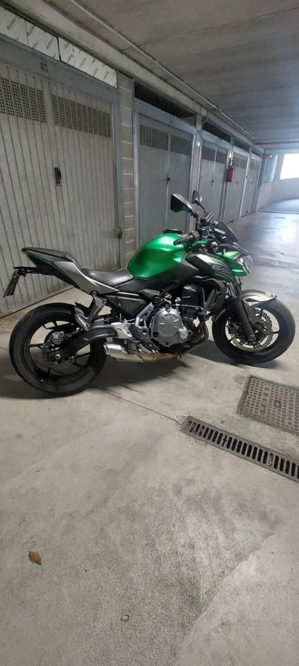 Kawasaki Z 650 Performance (2019 - 20) (6)