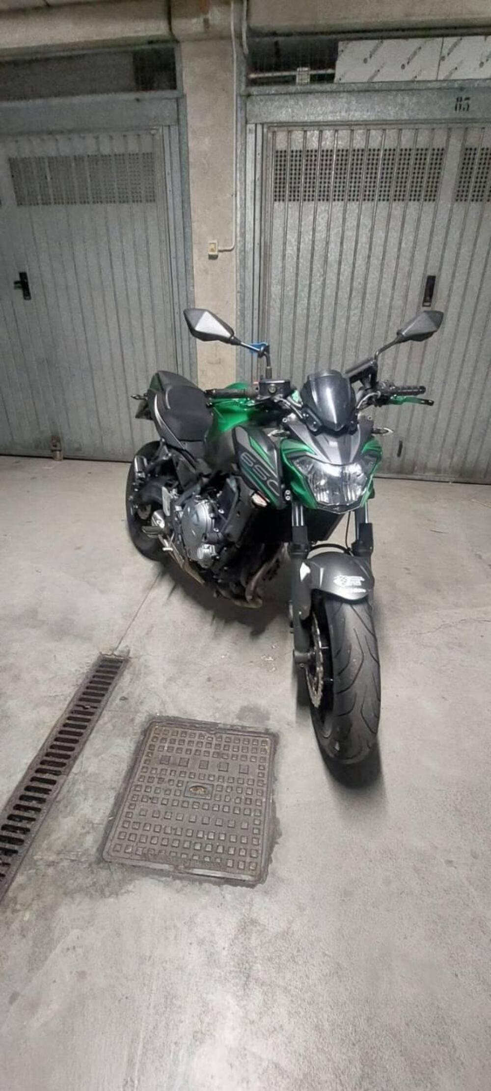 Kawasaki Z 650 Performance (2019 - 20) (8)