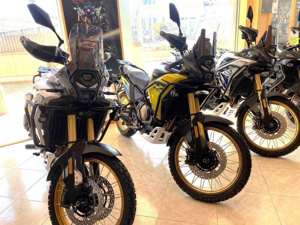 Voge Valico 800DSX Rally (2025 - 26)