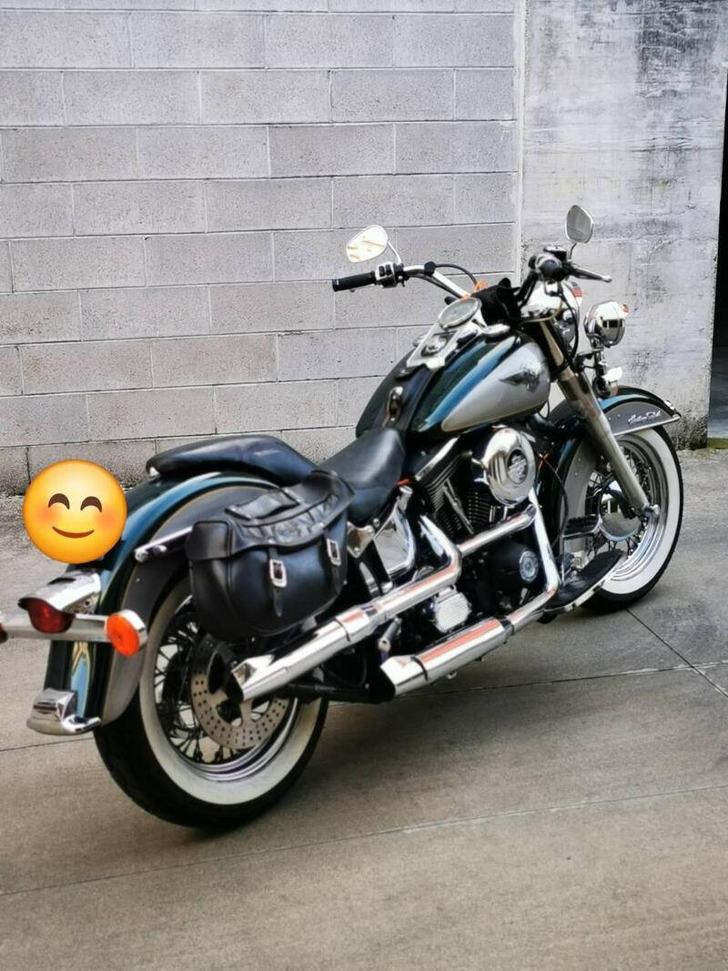Harley-Davidson 1340 Heritage Special (1993 - 96) (15)