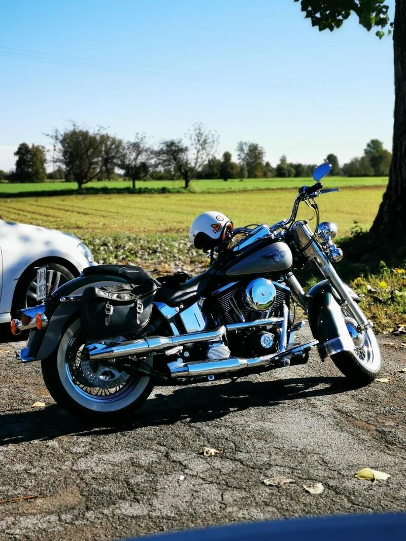 Harley-Davidson 1340 Heritage Special (1993 - 96) (17)