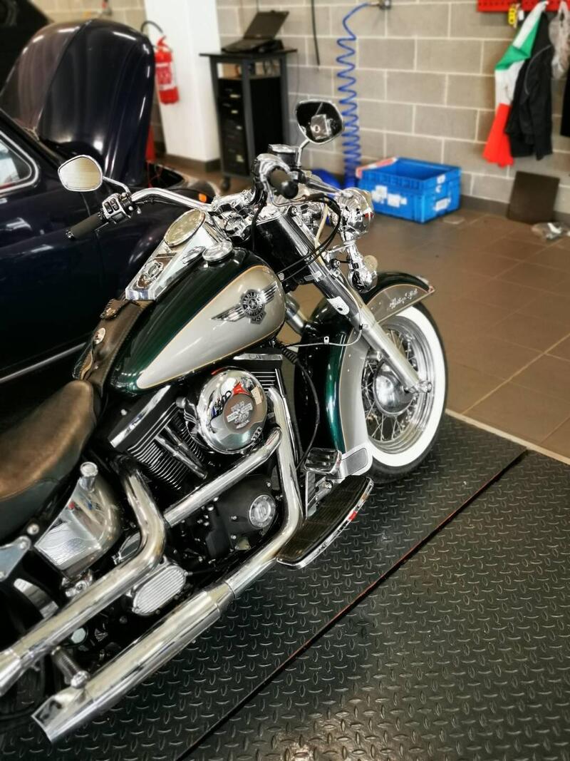 Harley-Davidson 1340 Heritage Special (1993 - 96) (18)