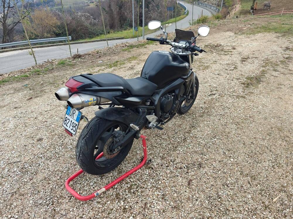 Yamaha FZ6 S2 (2007 - 11) (7)