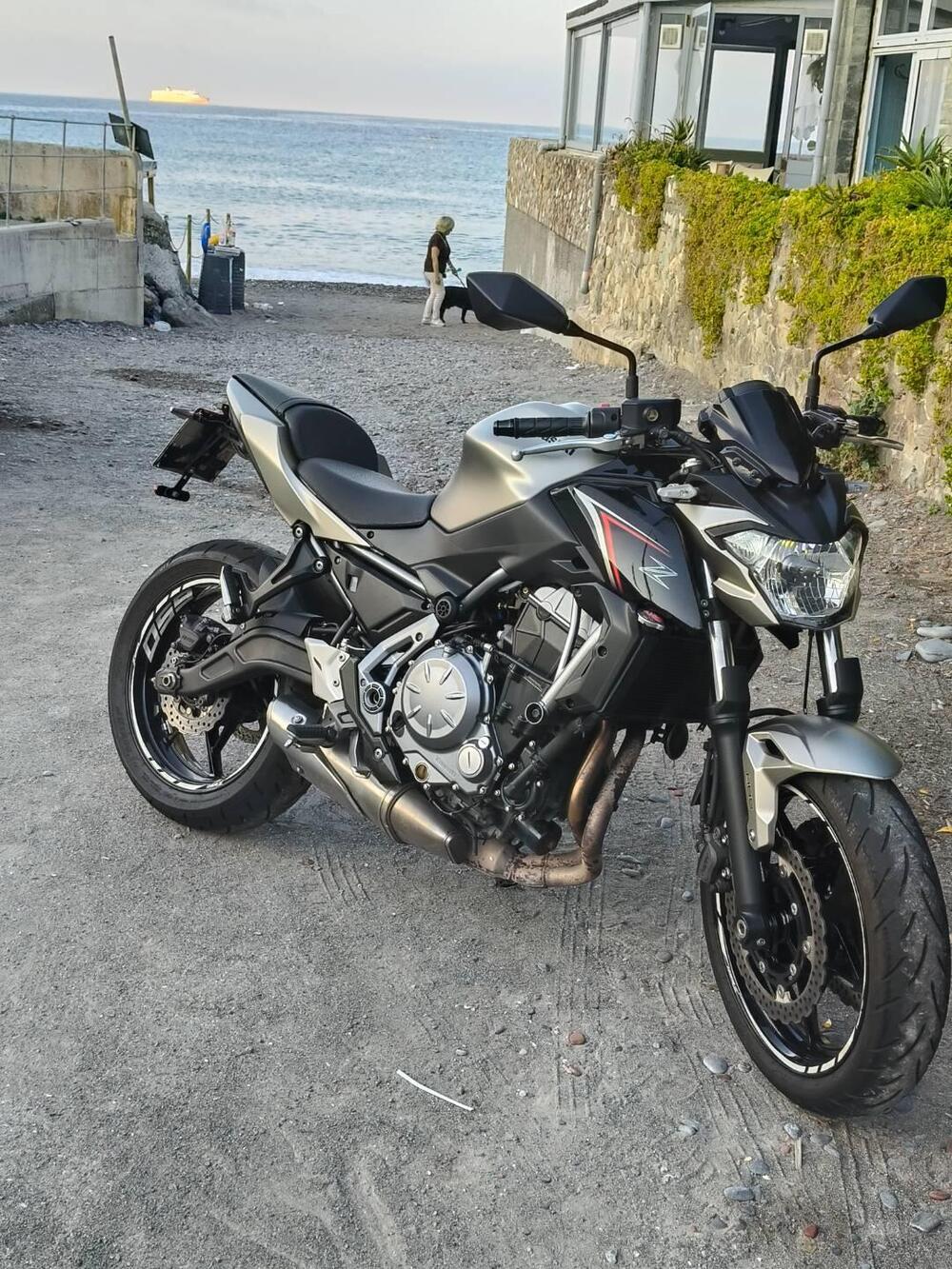 Kawasaki Z 650 (2017 - 19) (2)