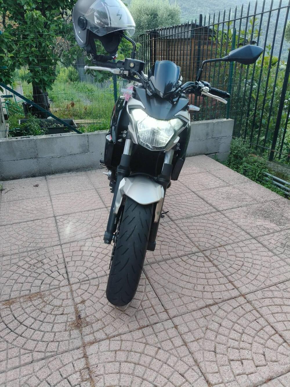 Kawasaki Z 650 (2017 - 19) (3)