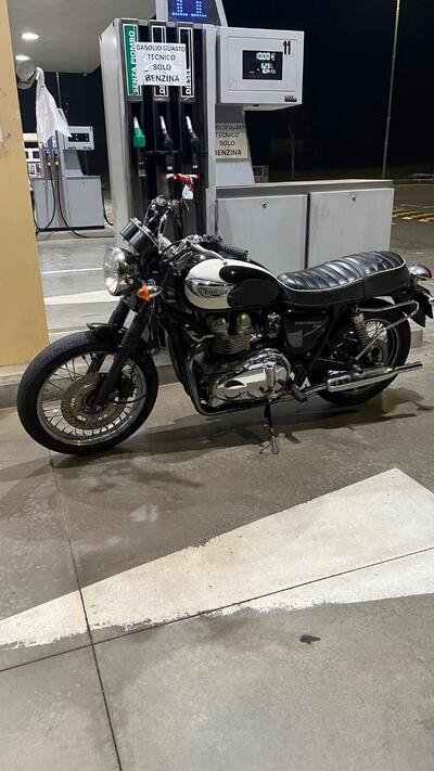 Triumph Bonneville T100 (2001 - 07) usata