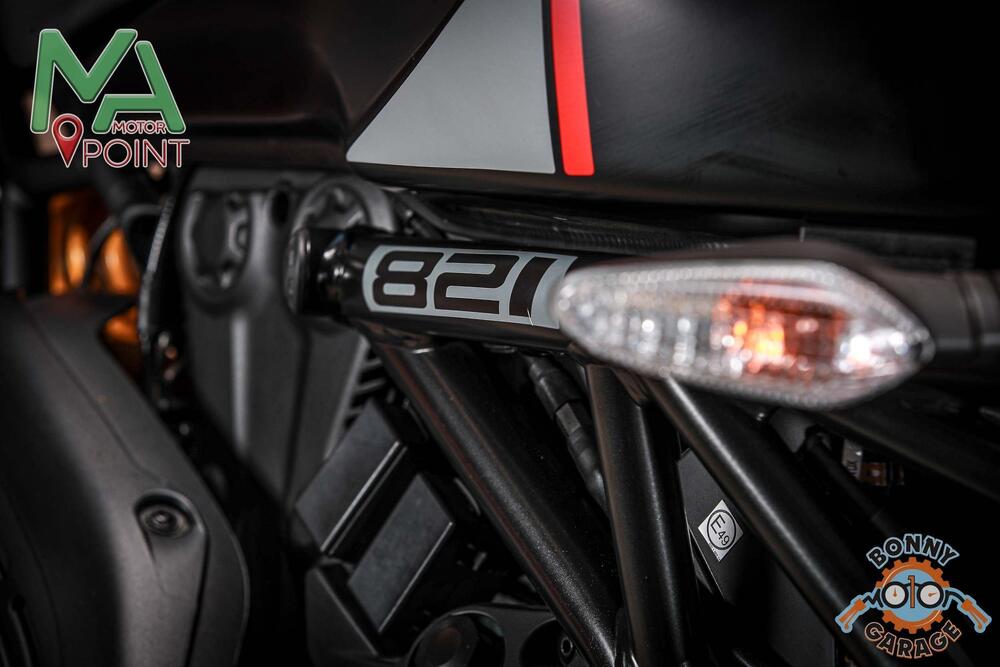 Ducati Monster 821 Stealth (2019 - 20) (4)