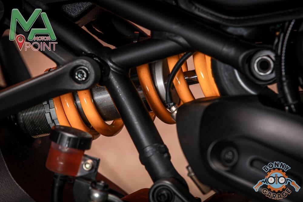 Ducati Monster 821 Stealth (2019 - 20) (10)