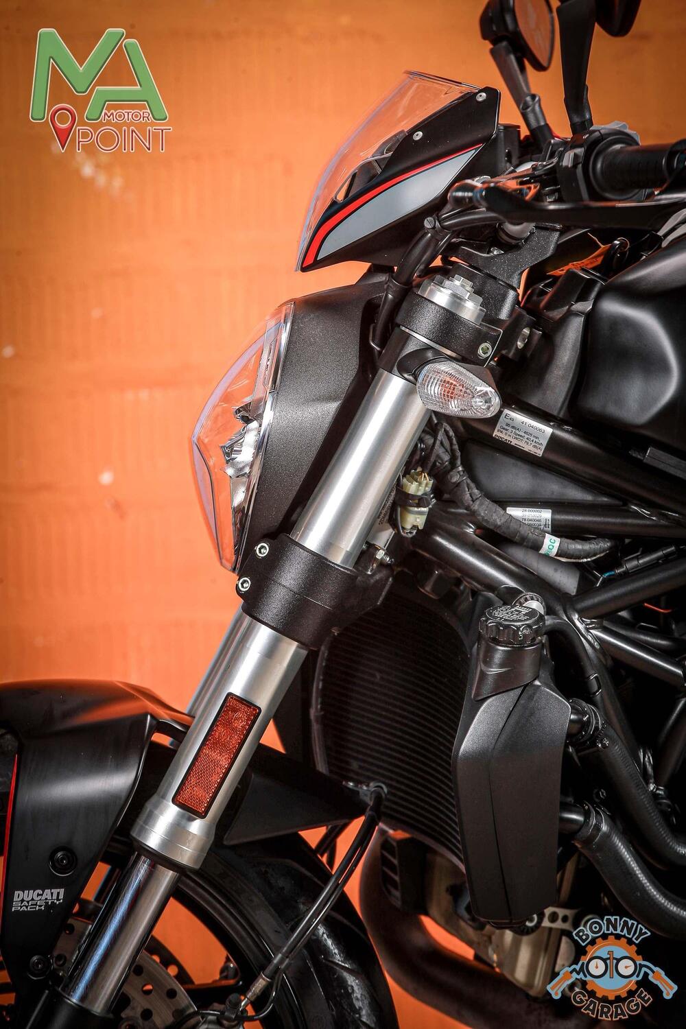 Ducati Monster 821 Stealth (2019 - 20) (14)