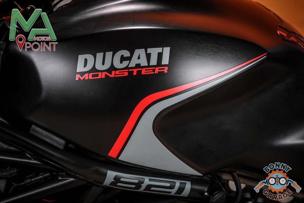 Ducati Monster 821 Stealth (2019 - 20) (15)