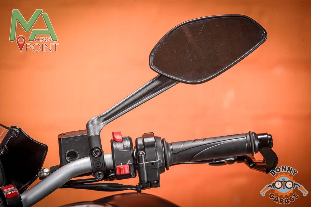 Ducati Monster 821 Stealth (2019 - 20) (20)