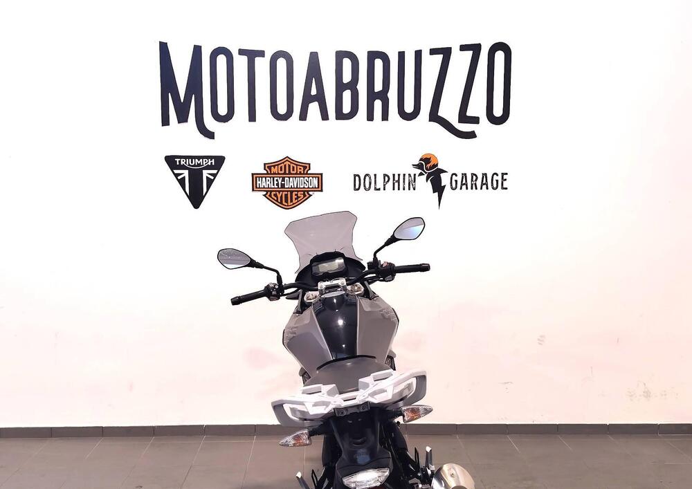 Bmw G 310 GS (2017 - 20) (12)