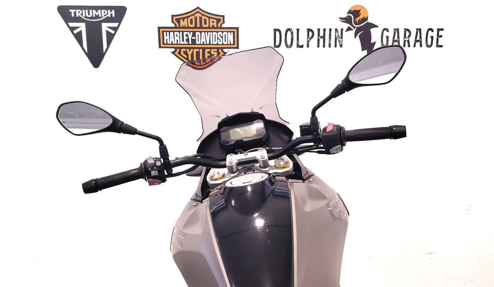 Bmw G 310 GS (2017 - 20) (13)