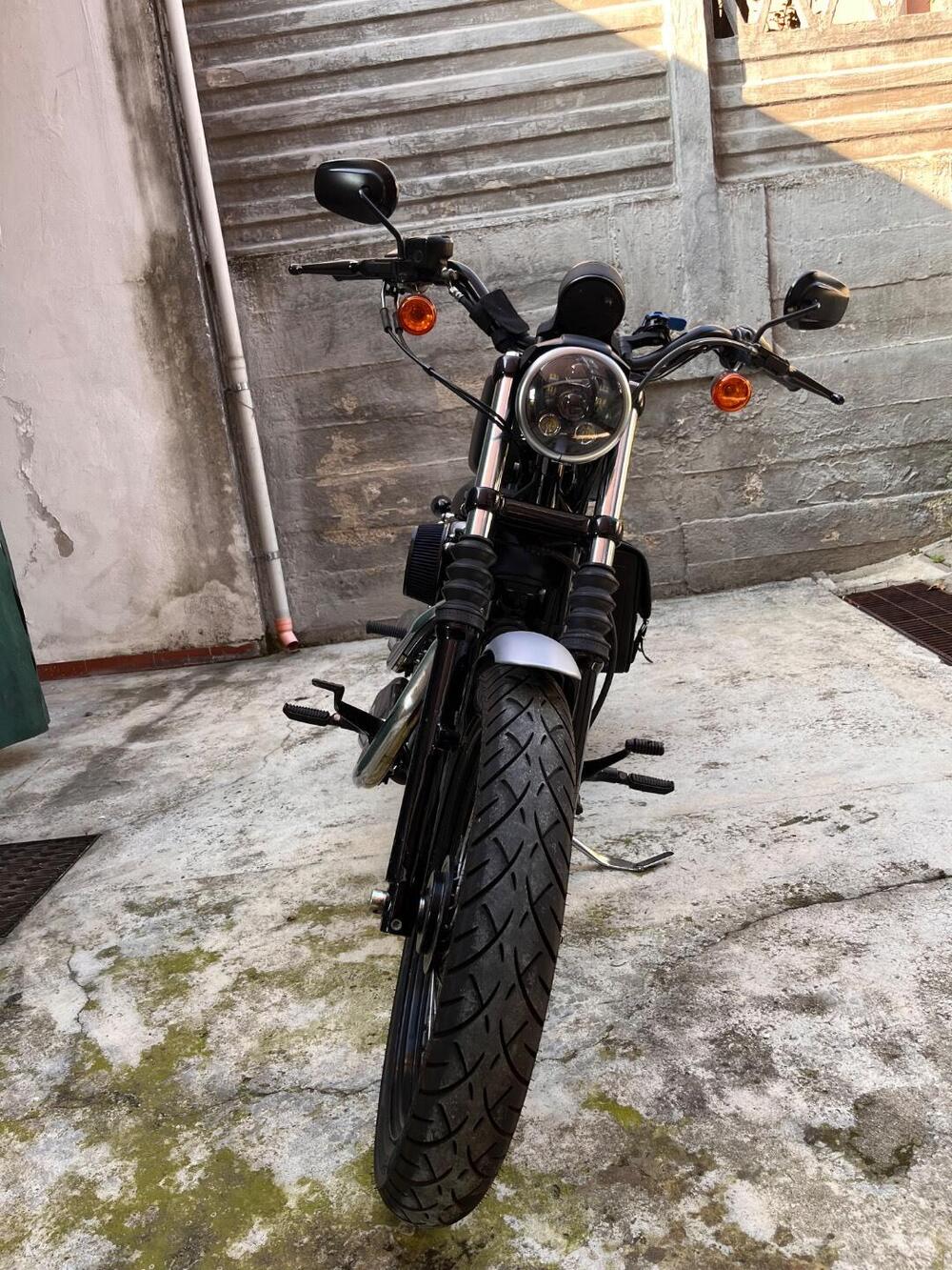 Harley-Davidson XL 1200N Nightster (2008 - 12) (6)