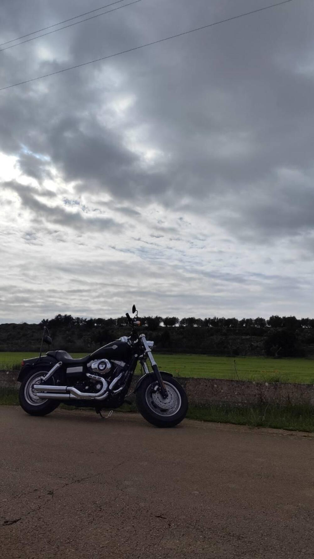 Harley-Davidson 1584 Fat Bob (2007 - 13) - FXDF (4)