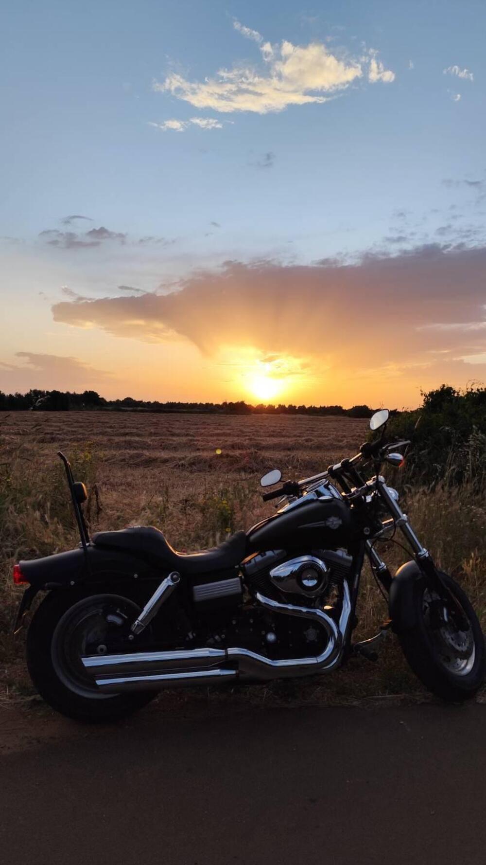 Harley-Davidson 1584 Fat Bob (2007 - 13) - FXDF (5)