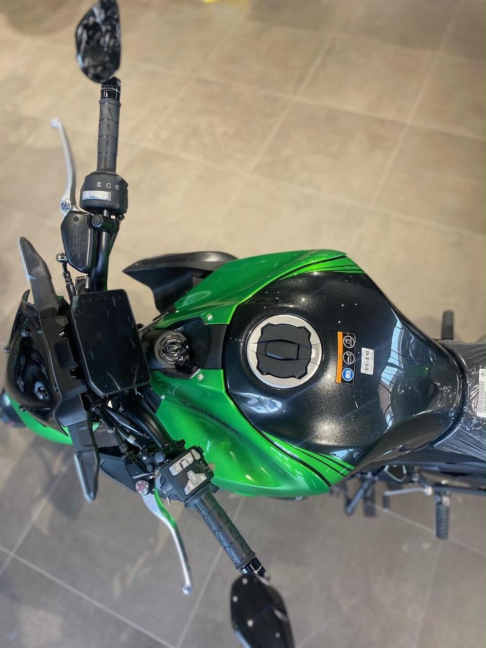 Kawasaki Z 900 (2025 - 26) (7)