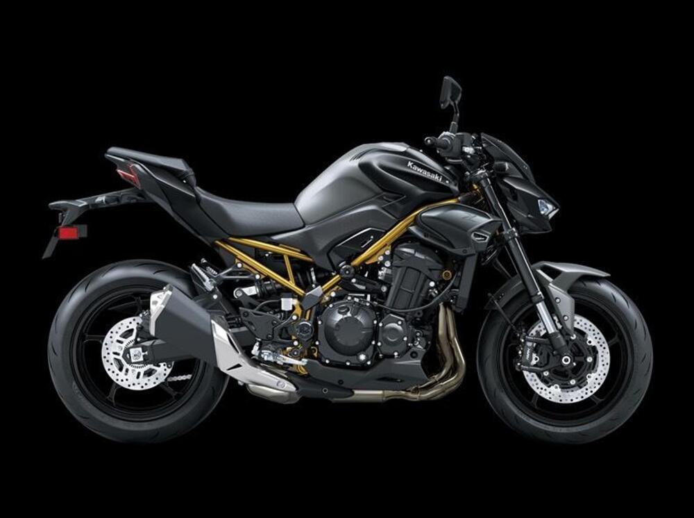 Kawasaki Z 900 (2025 - 26) (2)