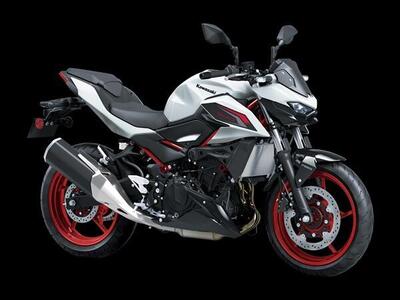 Kawasaki Z 500 SE (2024 - 26) nuova