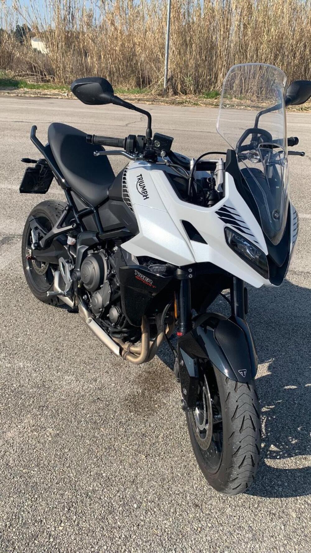 Triumph Tiger Sport 660 (2022 - 24) (7)
