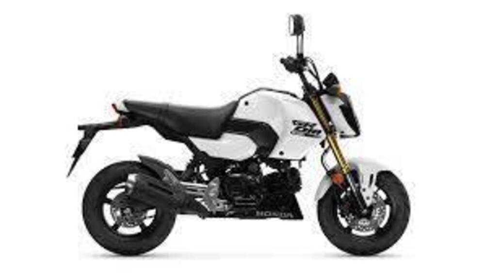 Honda MSX 125 Grom (2021 - 26)