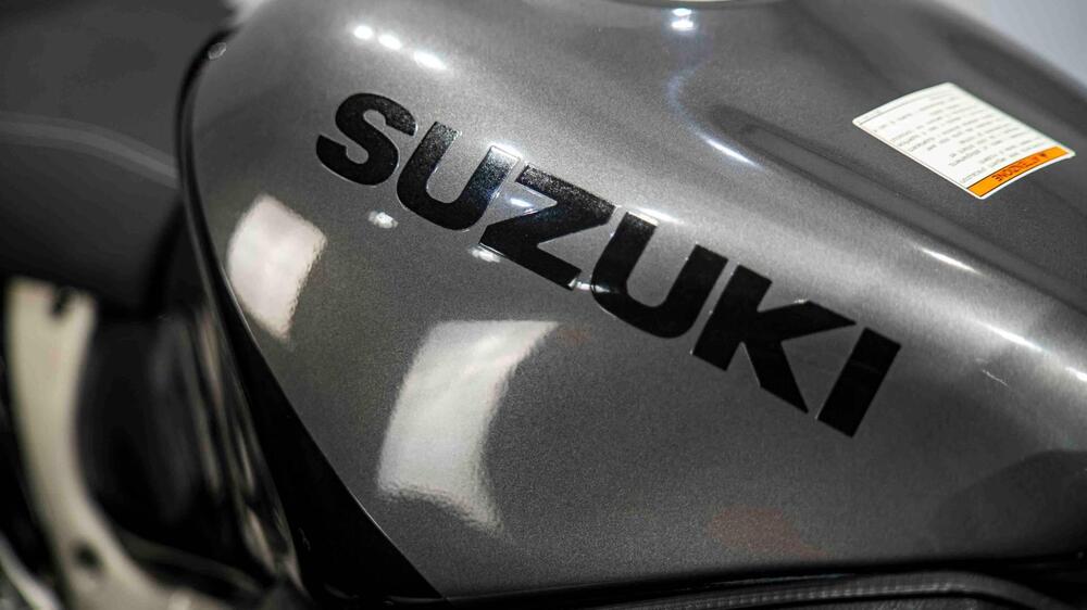 Suzuki GSX 1300 R Hayabusa (1999 - 06) (14)