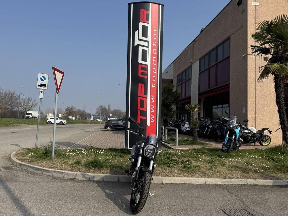 Voge Trofeo 525ACX Scrambler (2023 - 26) (2)