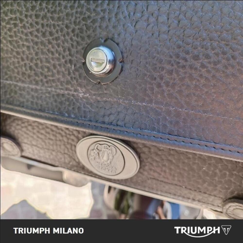 Triumph Bonneville Speedmaster 1200 Chrome Edition (2023) (5)