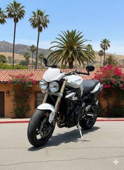 Triumph Street Triple (2007 - 12) usata