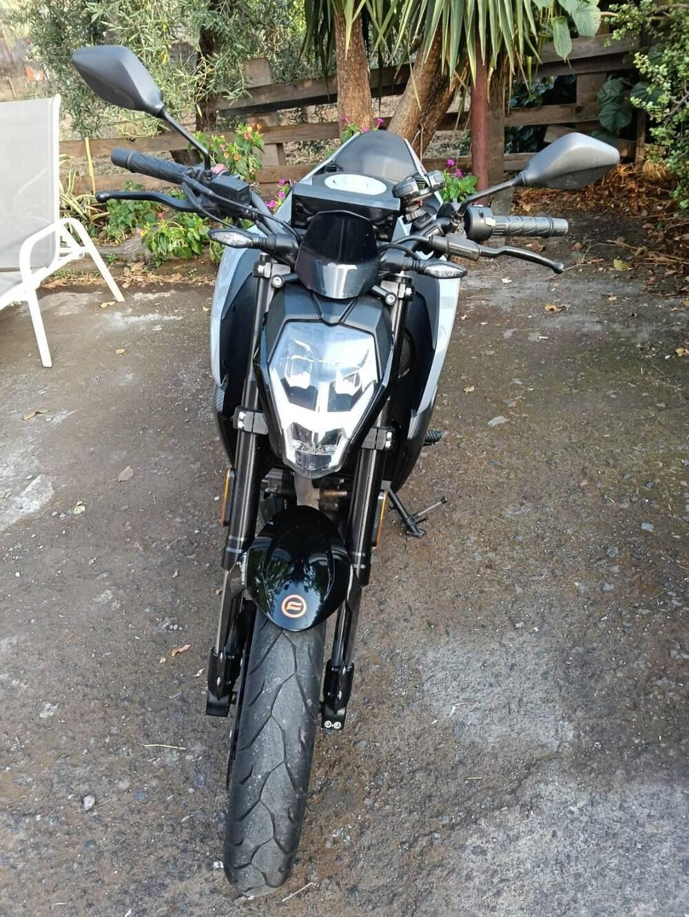 CFMOTO 300NK (2021 - 26) (10)