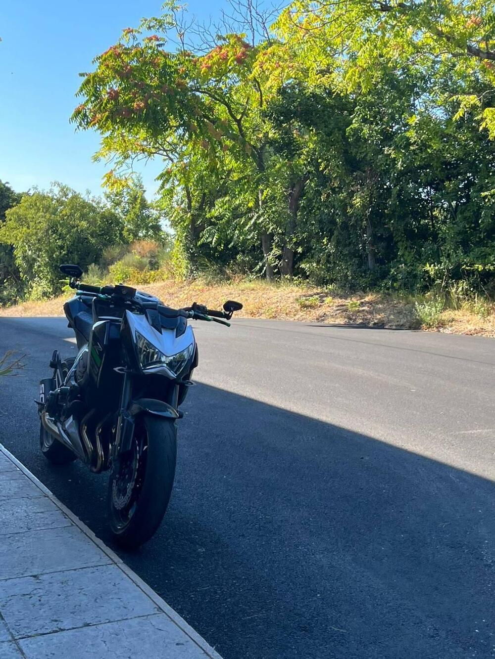 Kawasaki Z 800 ABS (2012 - 16) (3)