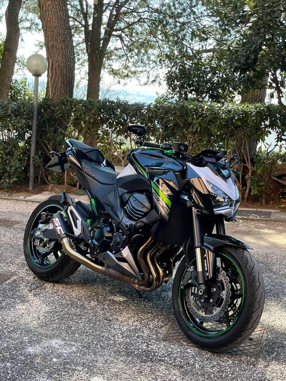 Kawasaki Z 800 ABS (2012 - 16) (8)