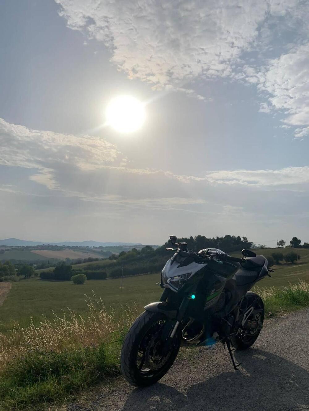 Kawasaki Z 800 ABS (2012 - 16) (11)