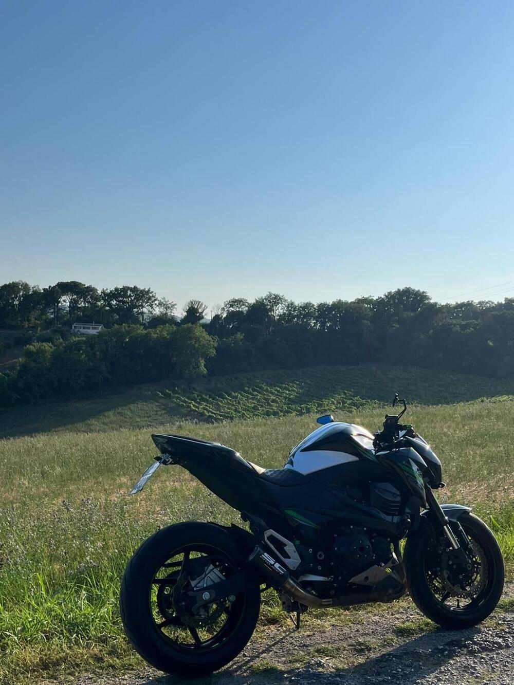 Kawasaki Z 800 ABS (2012 - 16) (12)